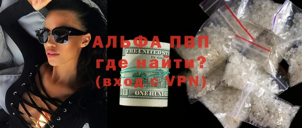 гашик Вяземский