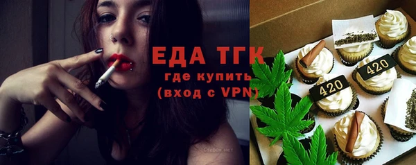 гашик Вяземский