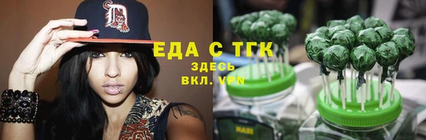 гашик Вяземский