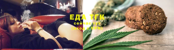 гашик Вяземский