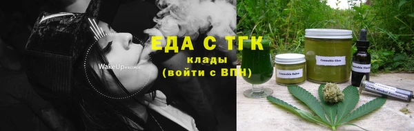гашик Вяземский