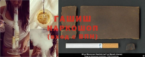 гашик Вяземский