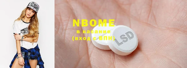гашик Вяземский