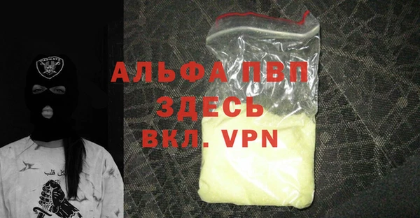 гашик Вяземский