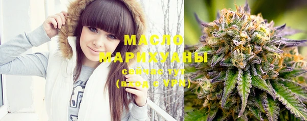 гашик Вяземский