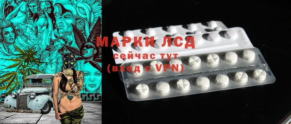 гашик Вяземский