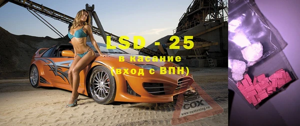 гашик Вяземский