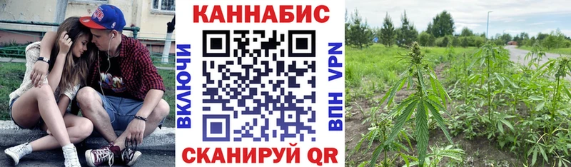 Купить закладки  Певек  Шишки марихуана тримм 